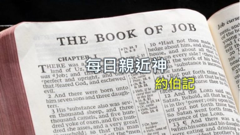 Read more about the article 每日親近神 2019/08/06 約伯記 第28天