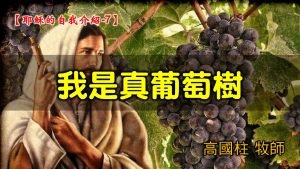 2021/09/12高雄基督之家主日崇拜-耶穌的自我介紹 (7)我是真葡萄樹