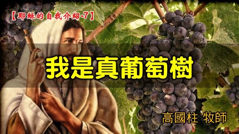 Read more about the article 2021/09/12高雄基督之家主日崇拜-耶穌的自我介紹 (7)我是真葡萄樹