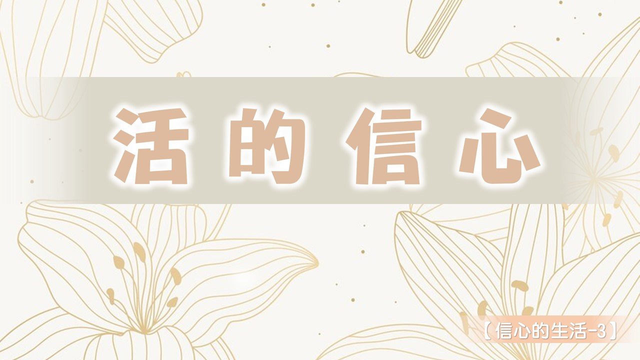 You are currently viewing 【信心的生活-3】活的信心|20240623|高雄基督之家主日崇拜